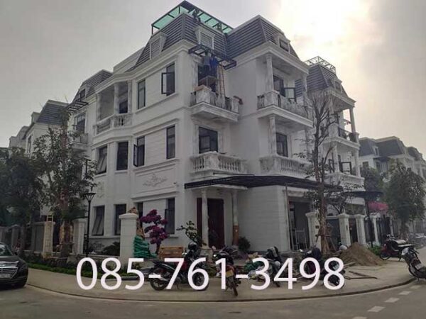 Sơn Giả Đá Mặt Tiền_ giả đá 3D mặt tiền đẹp sang trọng - Ảnh 12
