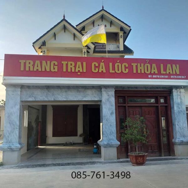 Giả đá cẩm thạch- Sang trọng – Thi công nhanh 24/7 - Ảnh 21