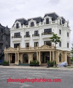 Mẫu Sơn Giả Đá Mặt Tiền Biệt Thự Tại Cần Thơ